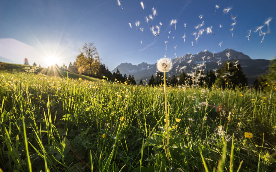 Wilder Kaiser in Tirol
