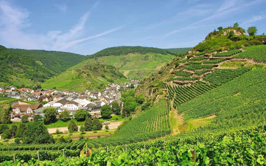 die Sauffenburg im Ahrtal bei Mayschoss