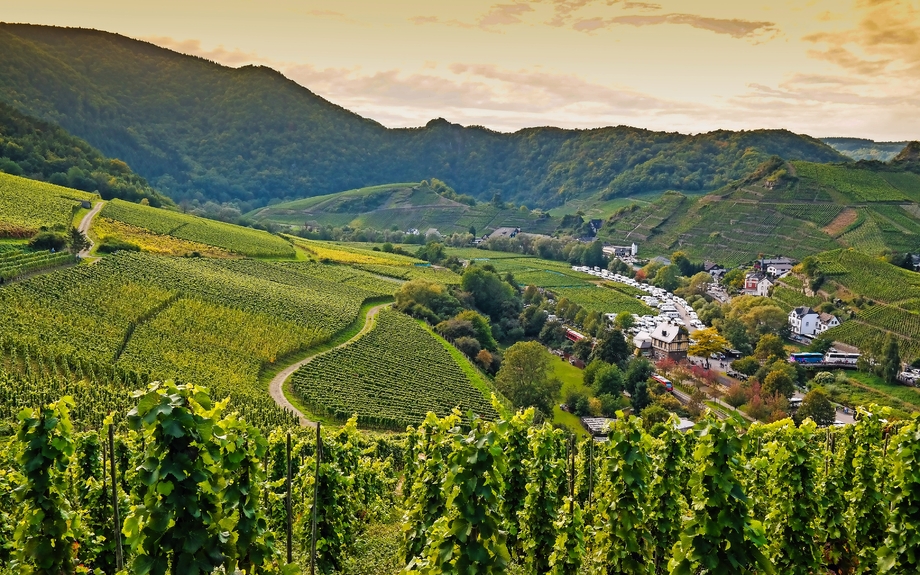 Blick über das Dorf Mayschoss im Ahrtal, Deutschland
