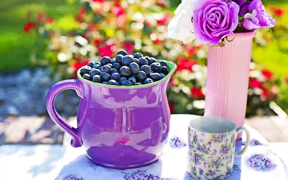 Schale voller Heidelbeeren