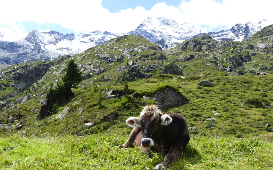 Kaunertal in Österreich