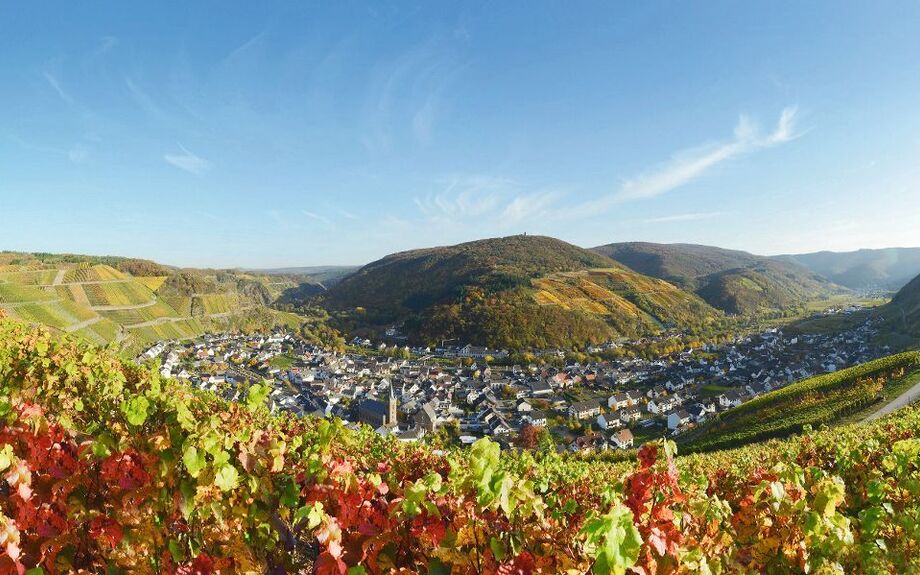 Weinberge