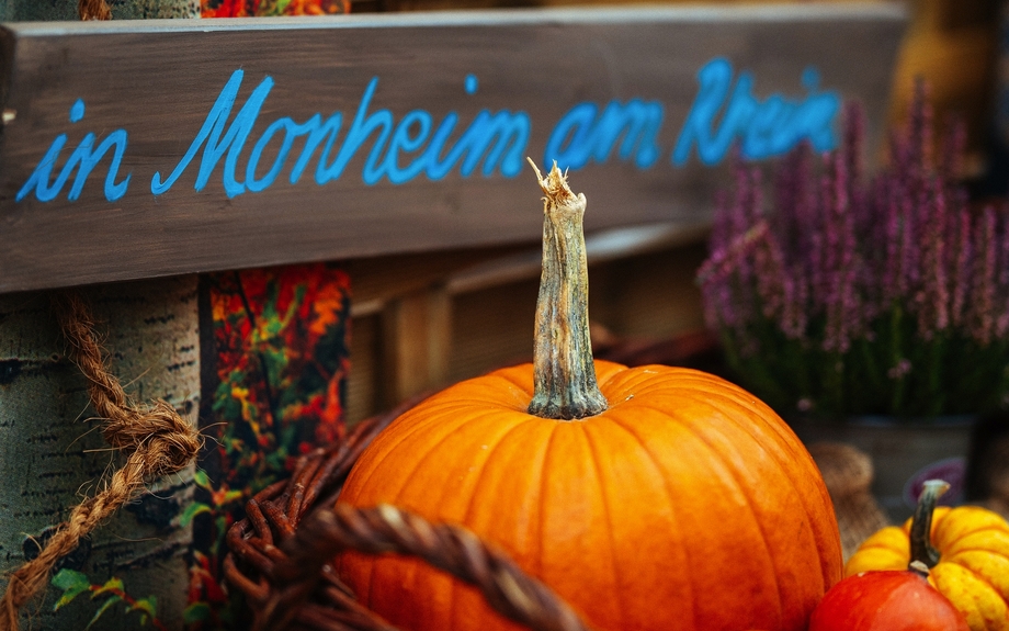 Martinsmarkt Monheim