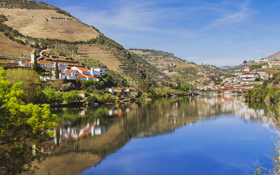Douro-Fluss mit Weinbergen in Douro-Tal mit Pinhao