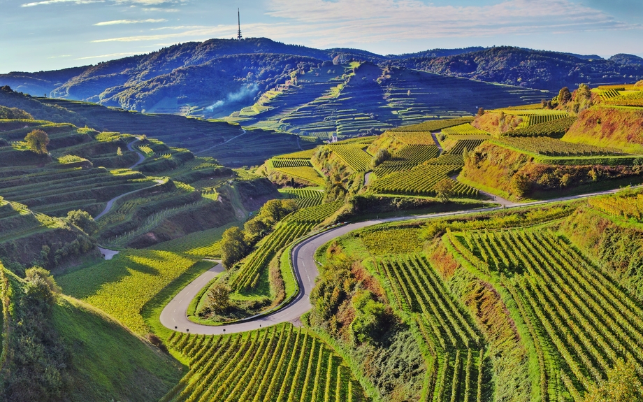 Kunstwerk Kaiserstuhl