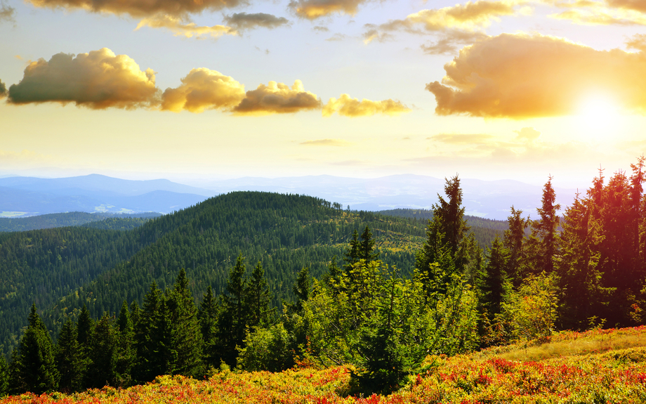Herbstlandschaft am Großen Arber