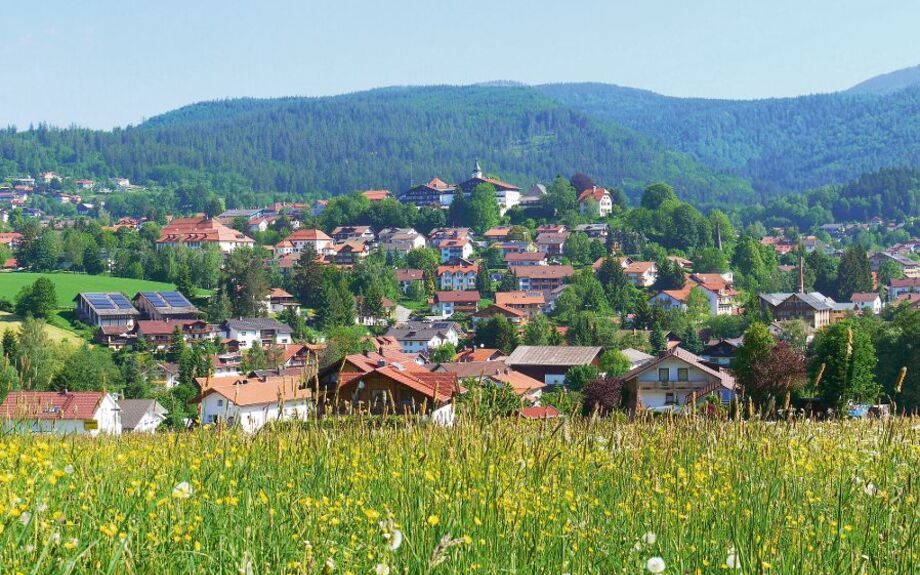 Bayerischer Wald