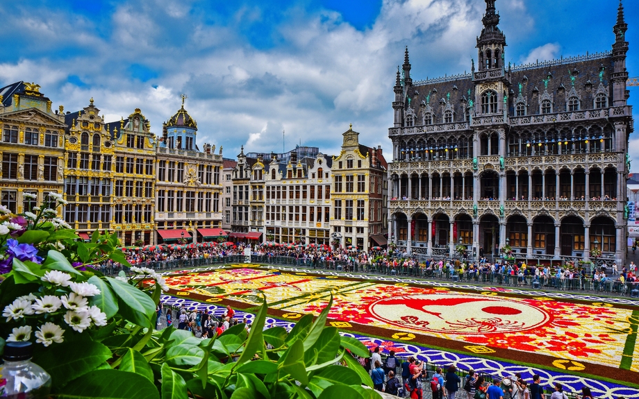 Blumenteppich in Brüssel