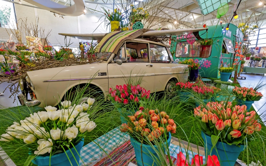 Keukenhof in den Niederlanden