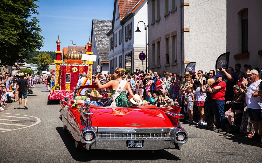 Steinfurther Rosenfest