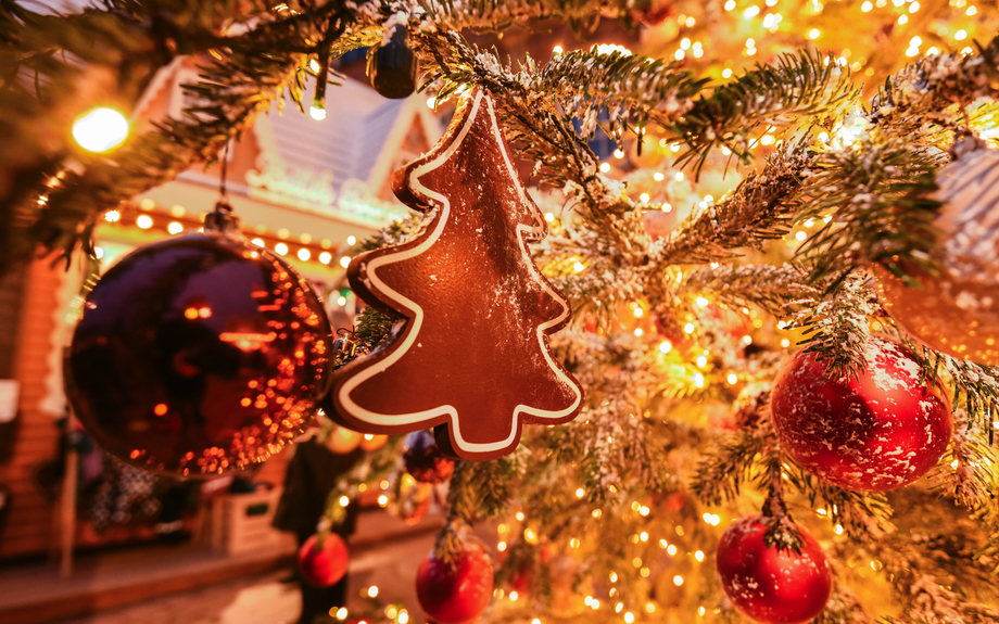 ein Weihnachtsbaum-Ingwerplätzchen schmückt einen echten Weihnachtsbaum