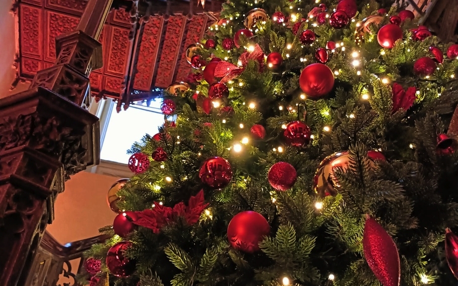 Weihnachtsbaum Schloss Arenfels