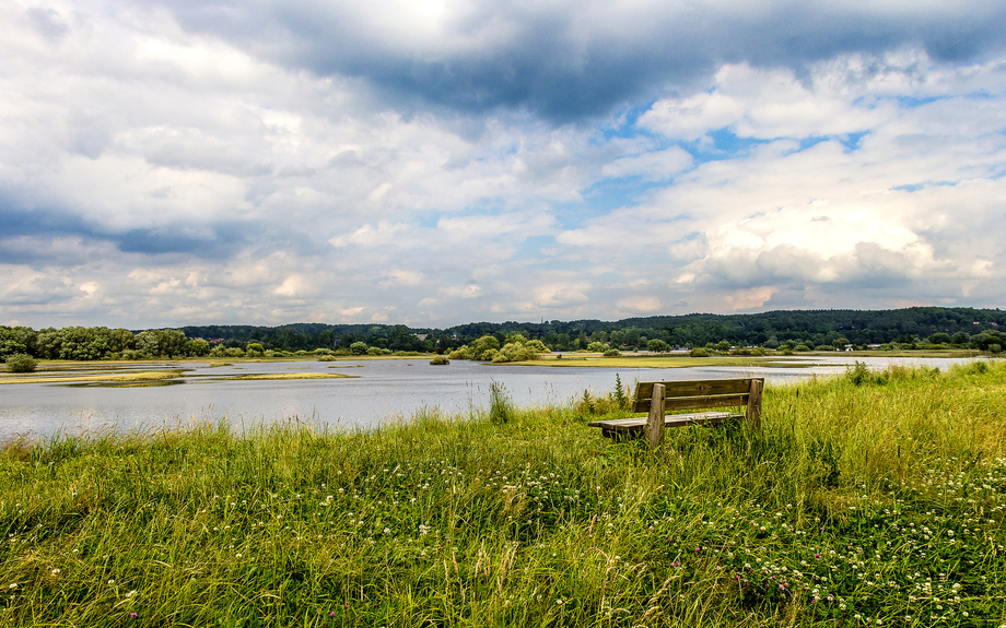 Hochwasser der Elbe bei Geesthacht