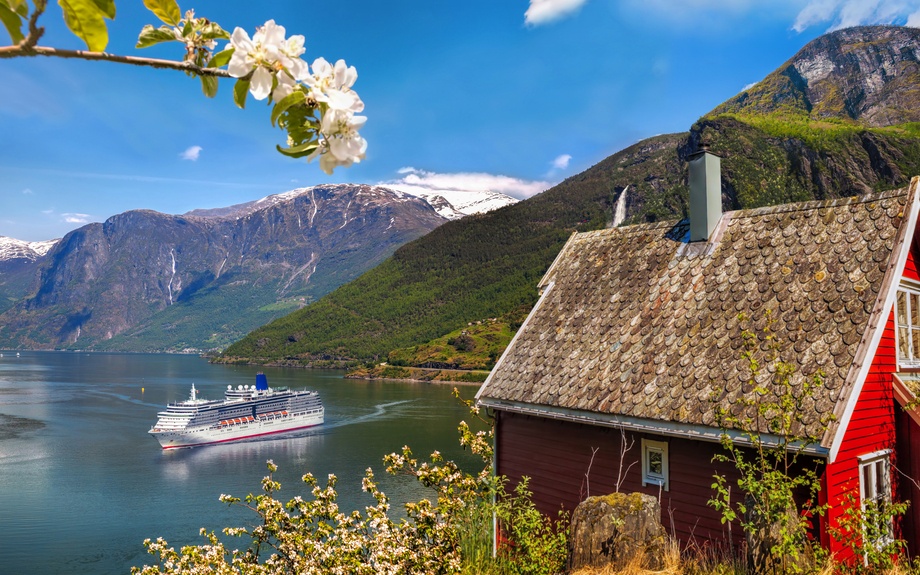 Kreuzfahrtschiff im Aurlandsfjord