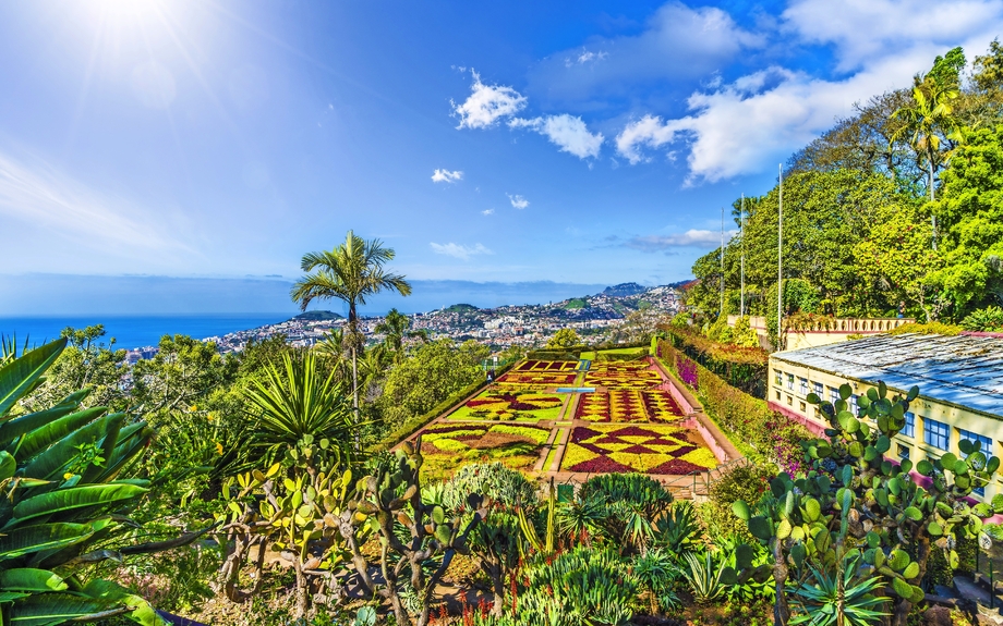 Blick auf Funchal