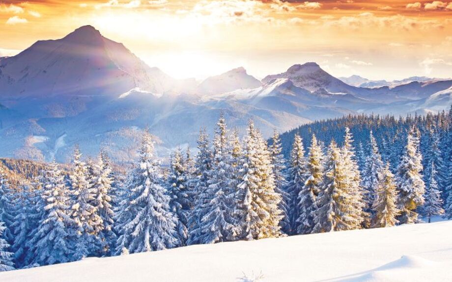 winter