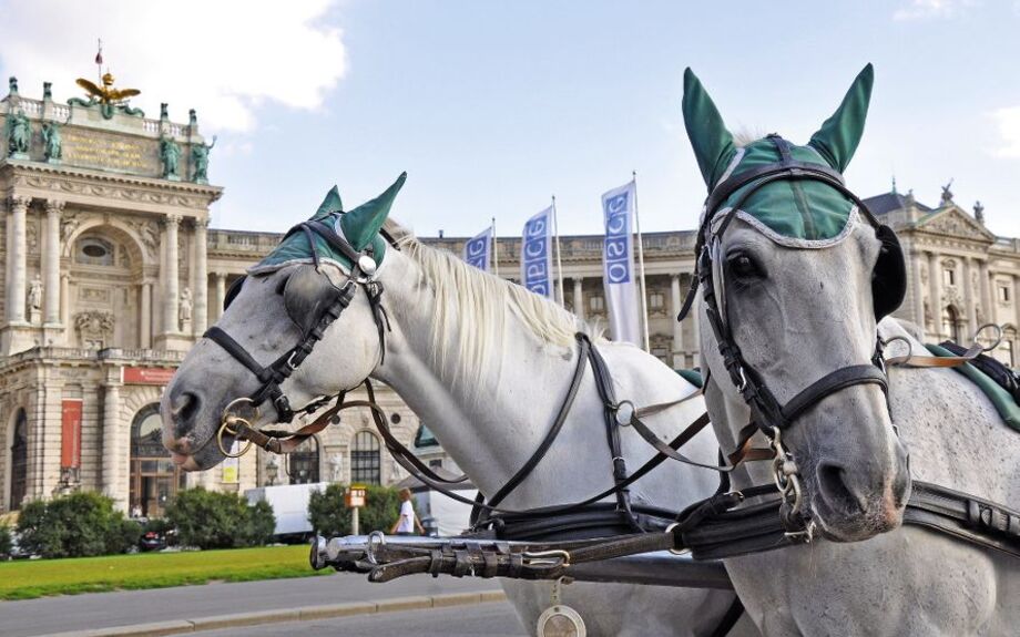 Fiaker vor der Hofburg