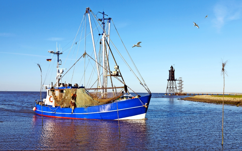 Küstenfischerei an der Nordseeküste