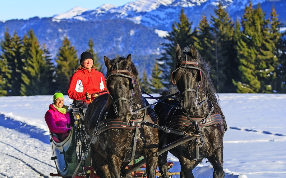 entspannte Pferdeschlittenfahrt an einem sonnigen Wintertag