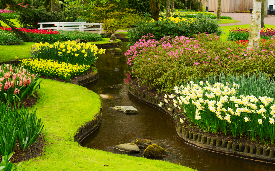Keukenhof in den Niederlanden