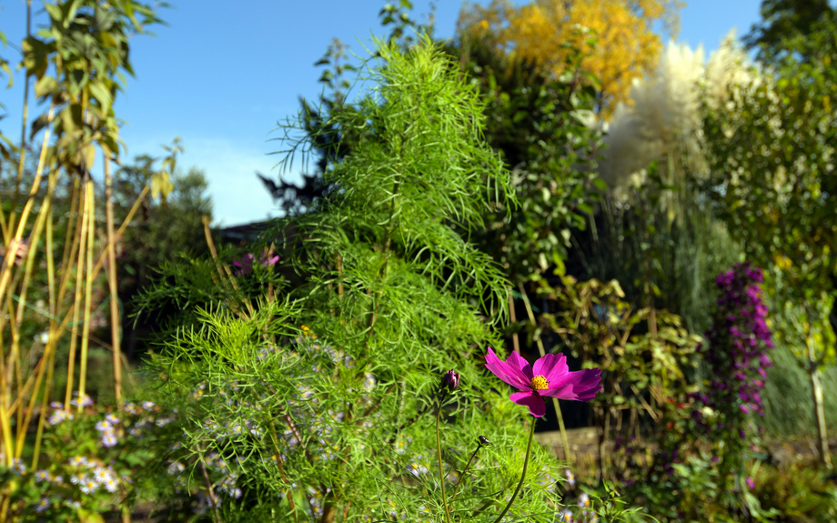 Botanischer Garten Neuss