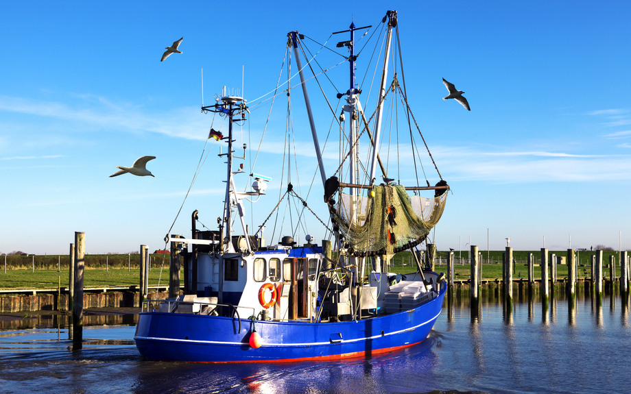 Krabbenkutter in Dorum