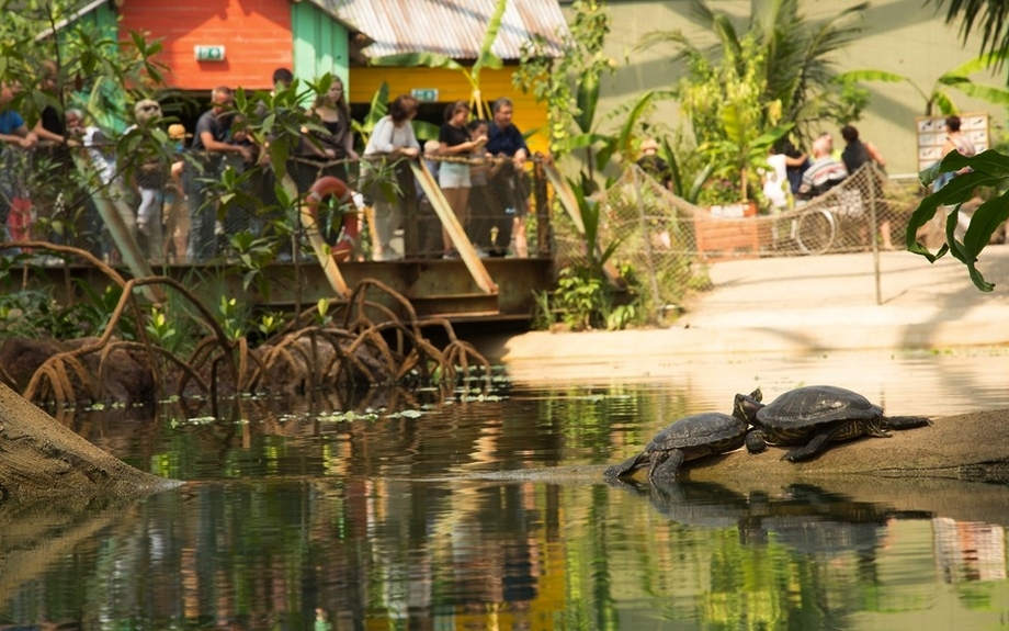 Burgers Zoo - Mangroven