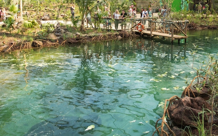 Burgers Zoo - Mangroven