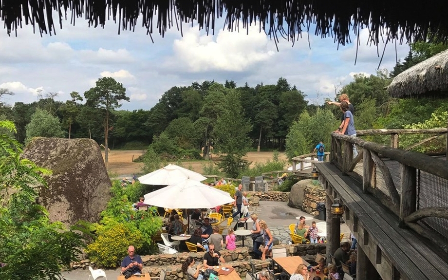 Burgers Zoo - Safari