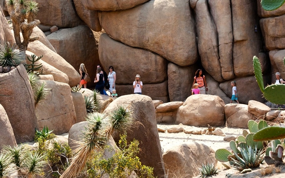 Burgers Zoo - Wüste