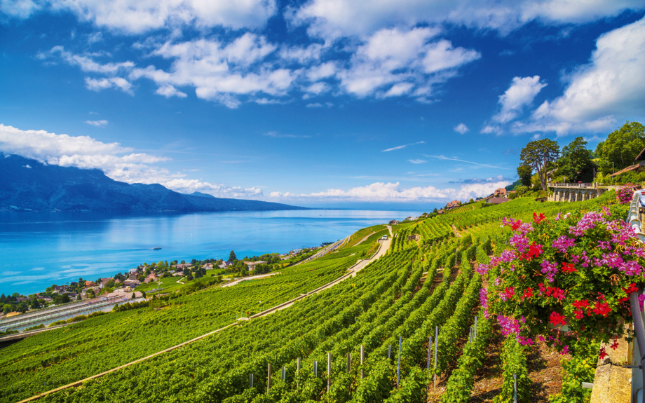 Weinregion Lavaux am Genfer See